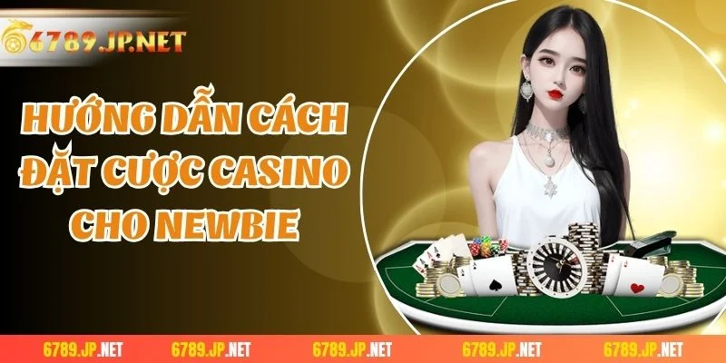 Hướng dẫn cách đặt cược casino cho newbie